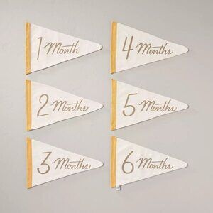 Hearth & Hand Magnolia Newborn‎ Milestone Pennants 6pc - Target